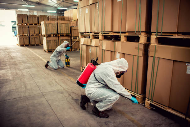 Best Residential Pest Control  in New Paris, IN
