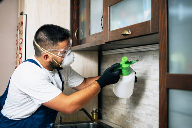 Best Affordable Pest Control Services  in New Paris, IN
