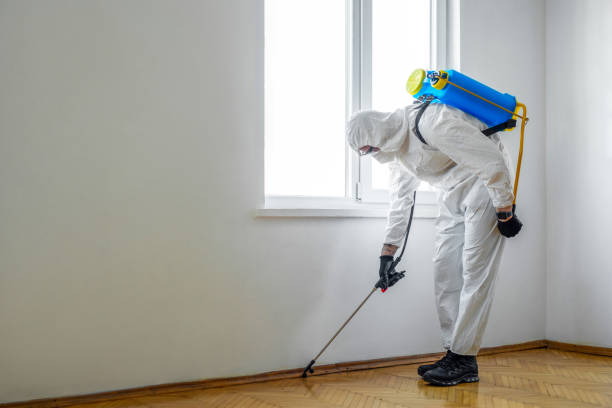 Best Wasp Removal Services  in New Paris, IN
