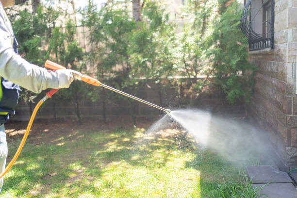 Best Pest Control Near Me  in New Paris, IN